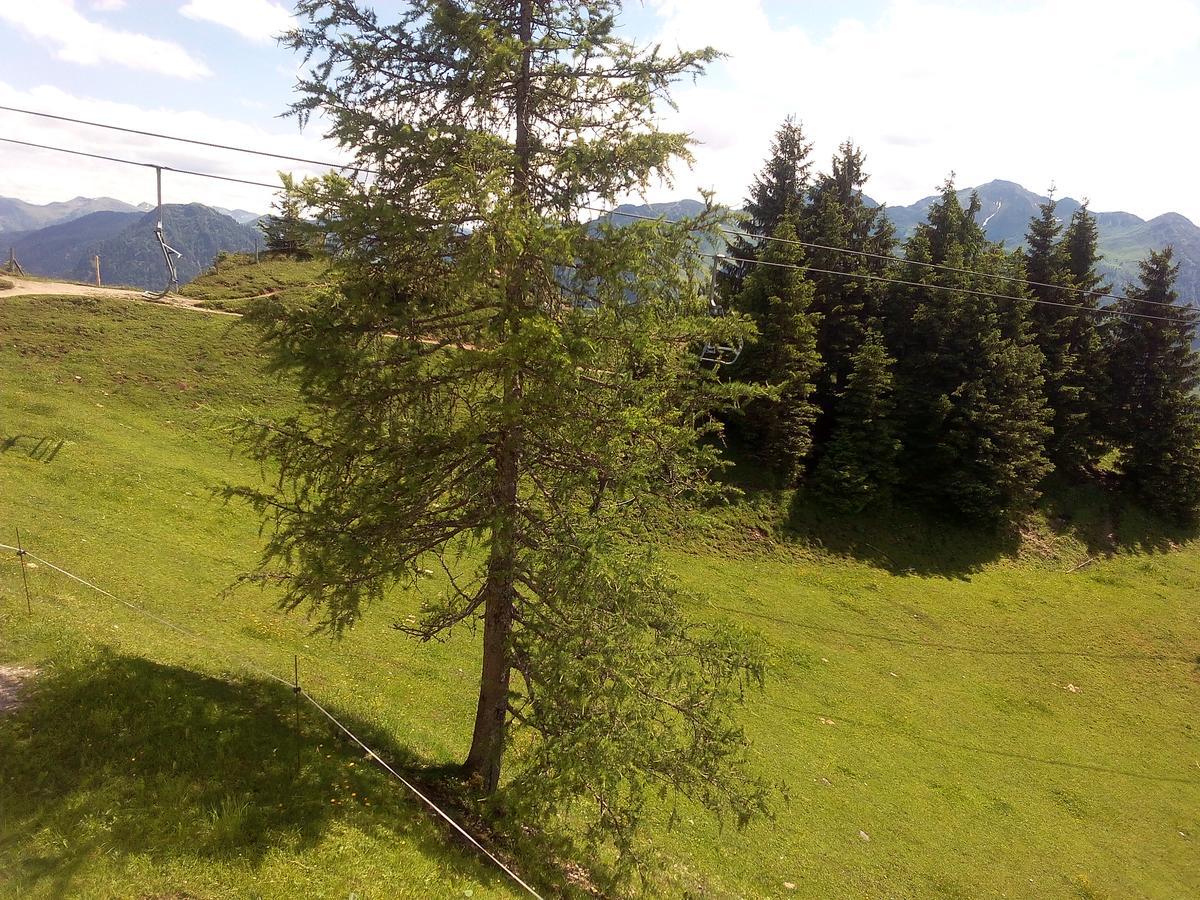 Gasthof-Pension Frohnwies Weissbach bei Lofer Exterior photo